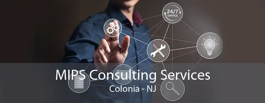 MIPS Consulting Services Colonia - NJ