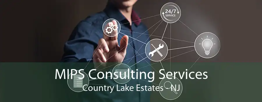 MIPS Consulting Services Country Lake Estates - NJ