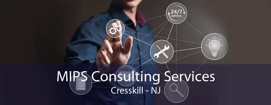 MIPS Consulting Services Cresskill - NJ