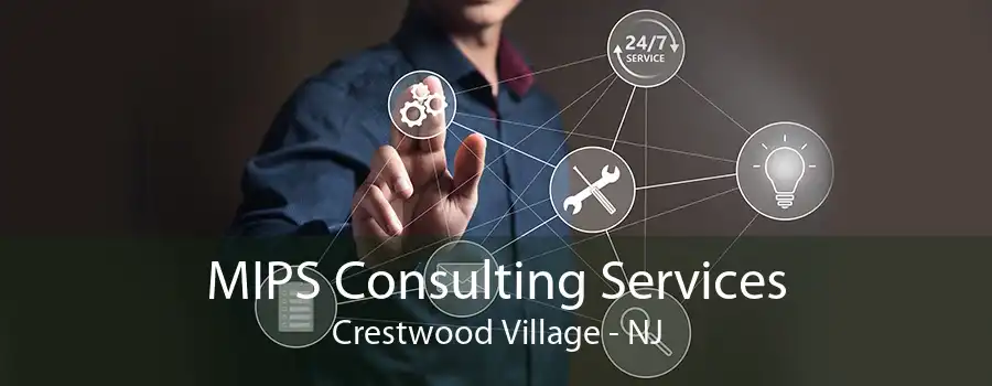 MIPS Consulting Services Crestwood Village - NJ