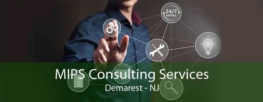 MIPS Consulting Services Demarest - NJ