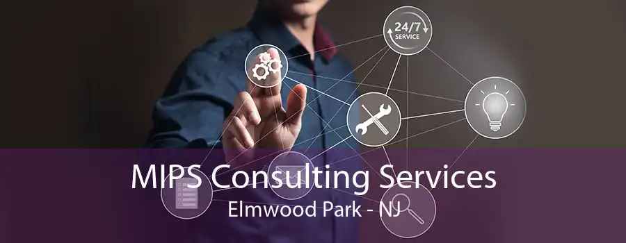 MIPS Consulting Services Elmwood Park - NJ