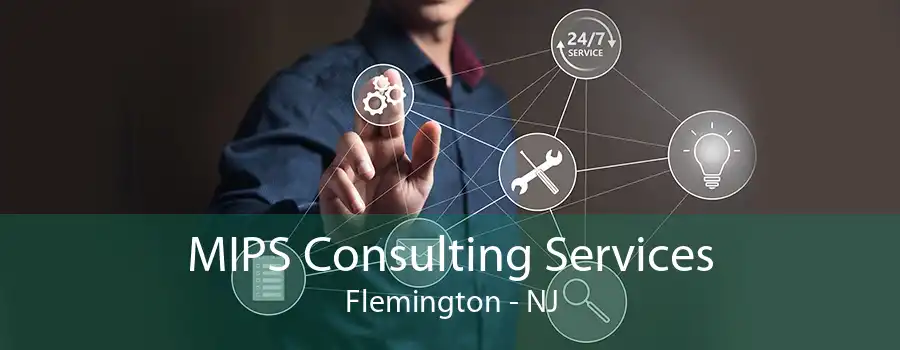 MIPS Consulting Services Flemington - NJ