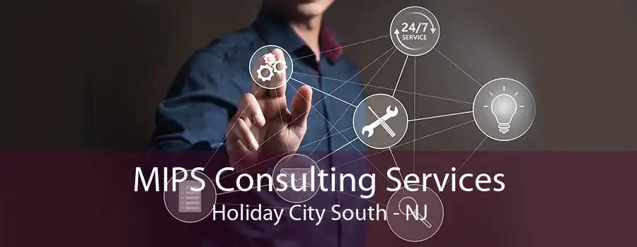 MIPS Consulting Services Holiday City South - NJ