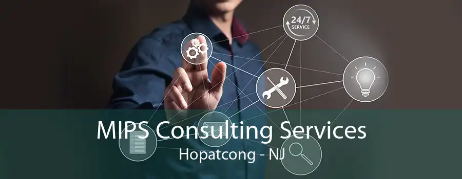 MIPS Consulting Services Hopatcong - NJ