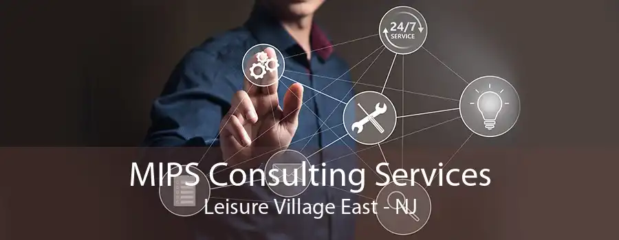 MIPS Consulting Services Leisure Village East - NJ