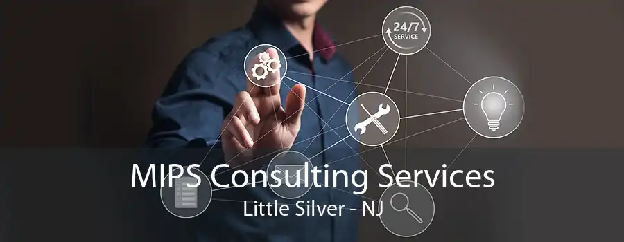 MIPS Consulting Services Little Silver - NJ