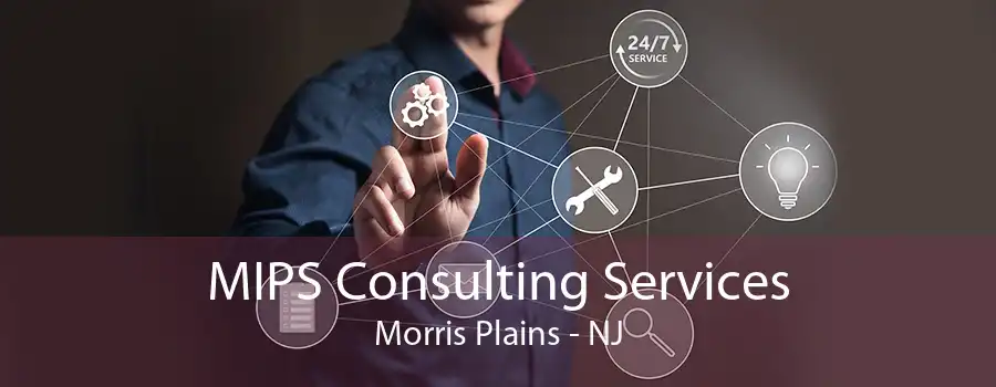 MIPS Consulting Services Morris Plains - NJ