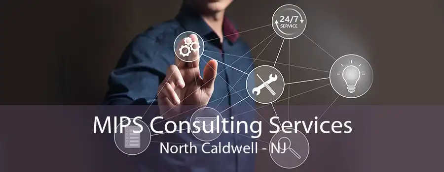 MIPS Consulting Services North Caldwell - NJ