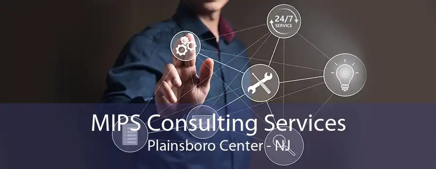 MIPS Consulting Services Plainsboro Center - NJ