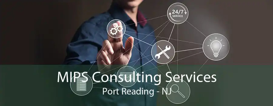MIPS Consulting Services Port Reading - NJ