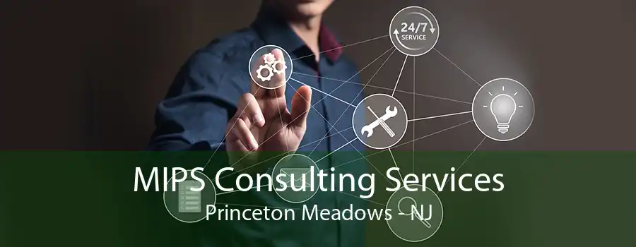 MIPS Consulting Services Princeton Meadows - NJ