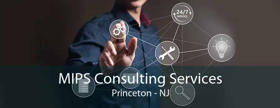 MIPS Consulting Services Princeton - NJ