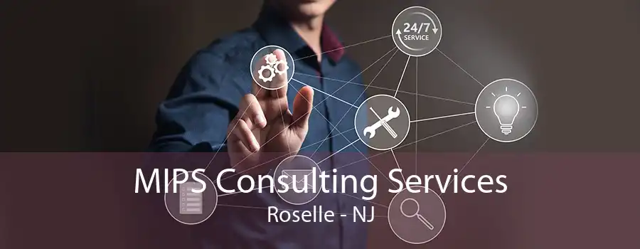 MIPS Consulting Services Roselle - NJ