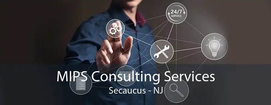 MIPS Consulting Services Secaucus - NJ