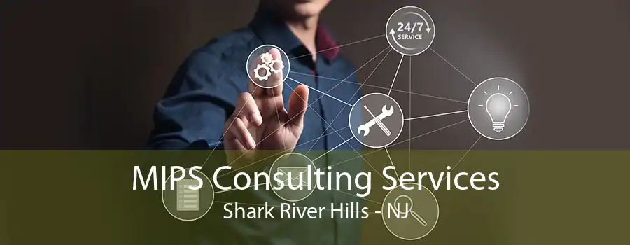 MIPS Consulting Services Shark River Hills - NJ