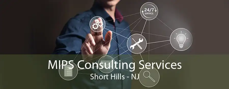 MIPS Consulting Services Short Hills - NJ