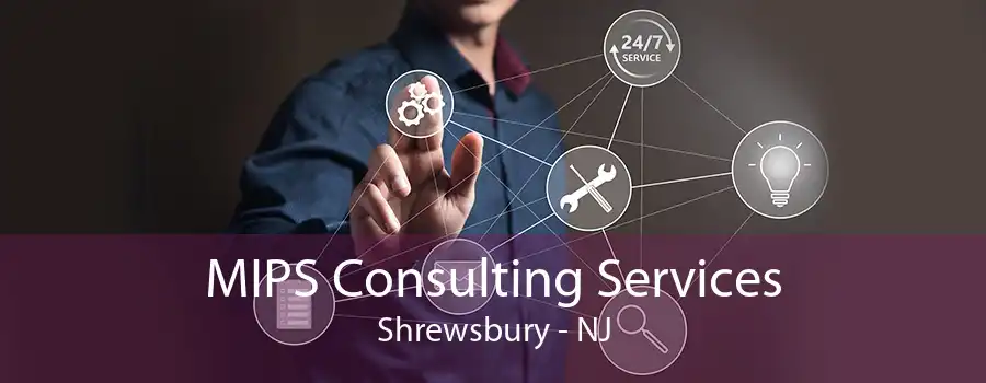 MIPS Consulting Services Shrewsbury - NJ