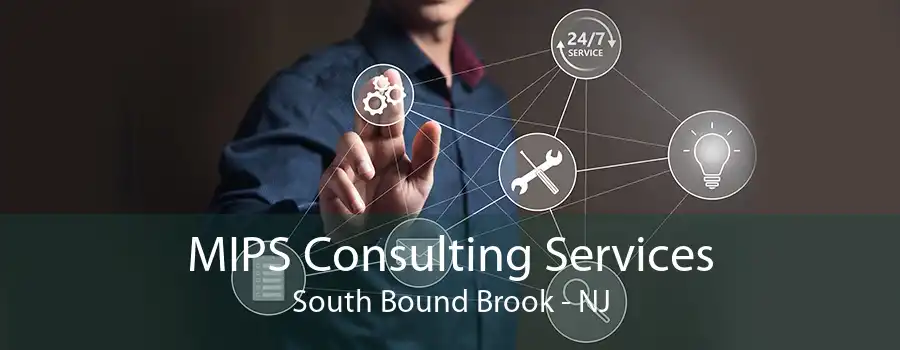 MIPS Consulting Services South Bound Brook - NJ
