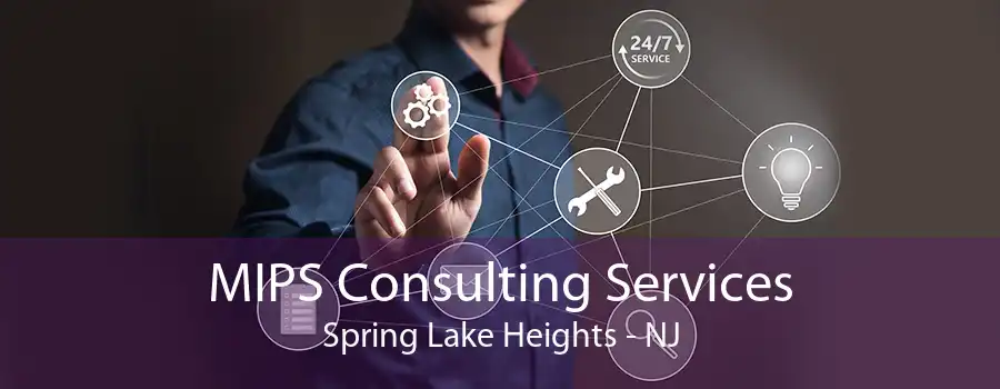 MIPS Consulting Services Spring Lake Heights - NJ