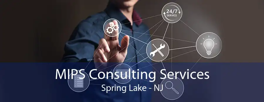 MIPS Consulting Services Spring Lake - NJ