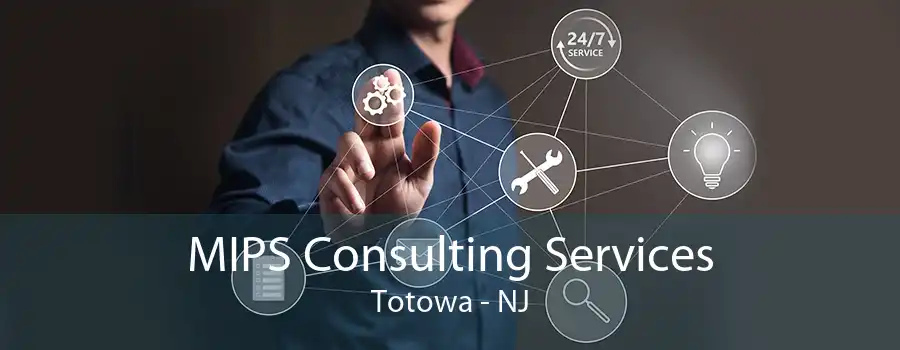 MIPS Consulting Services Totowa - NJ