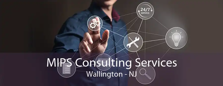 MIPS Consulting Services Wallington - NJ