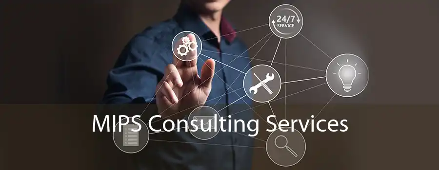 MIPS Consulting Services 