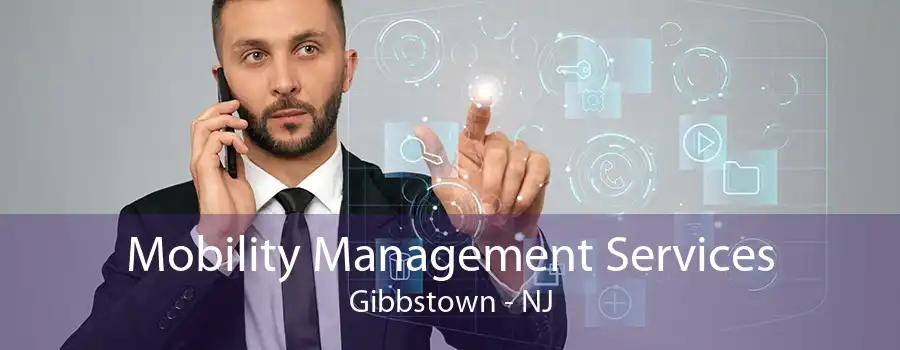 Mobility Management Services Gibbstown - NJ