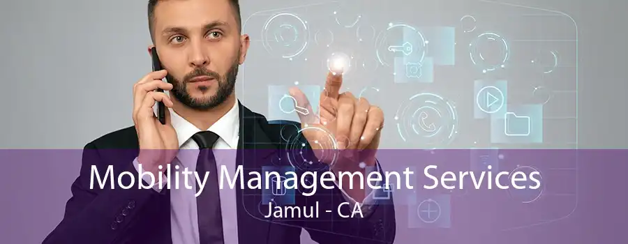 Mobility Management Services Jamul - CA