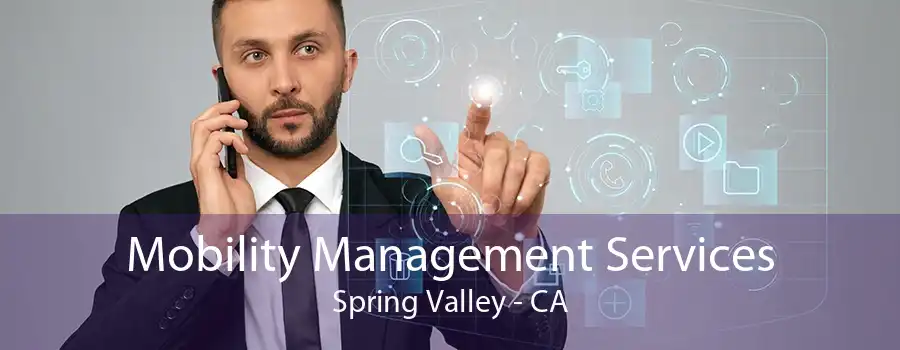 Mobility Management Services Spring Valley - CA