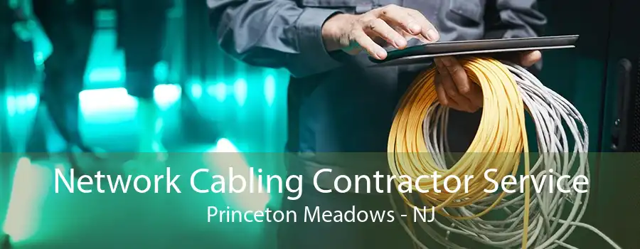 Network Cabling Contractor Service Princeton Meadows - NJ