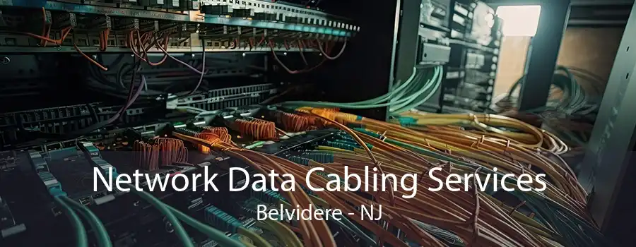 Network Data Cabling Services Belvidere - NJ