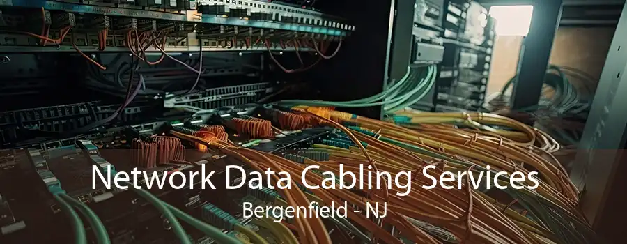 Network Data Cabling Services Bergenfield - NJ