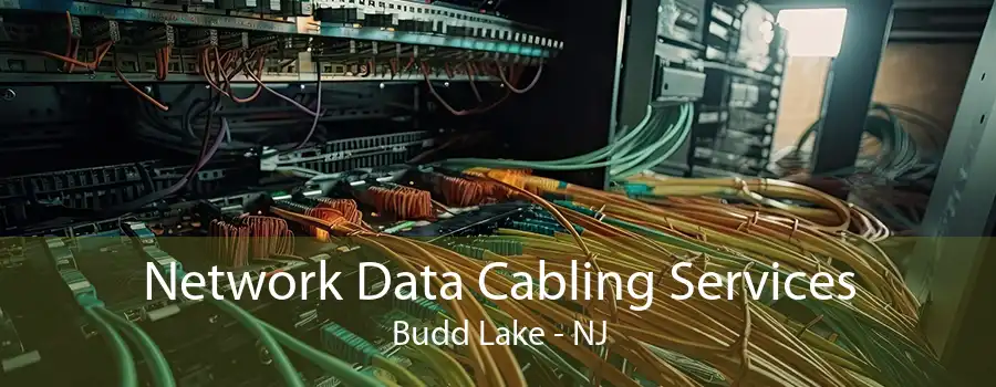 Network Data Cabling Services Budd Lake - NJ