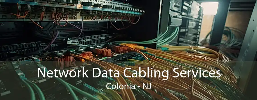 Network Data Cabling Services Colonia - NJ