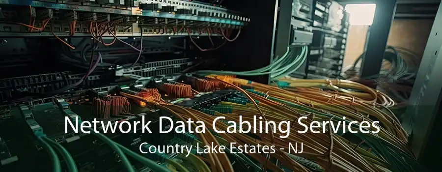 Network Data Cabling Services Country Lake Estates - NJ