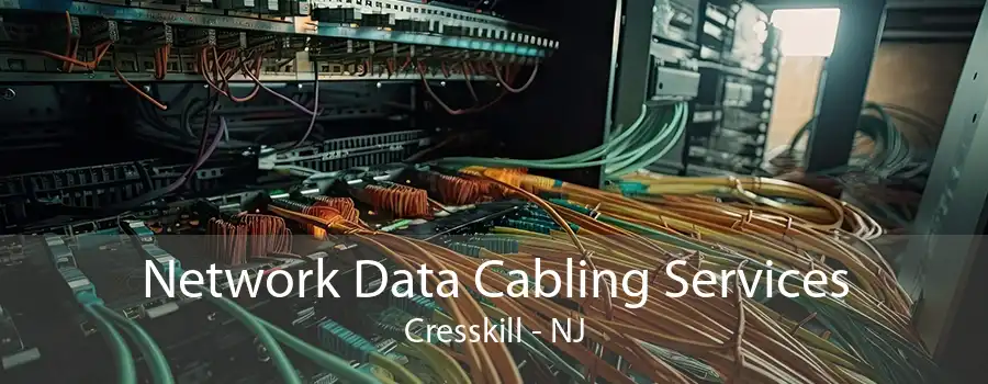 Network Data Cabling Services Cresskill - NJ