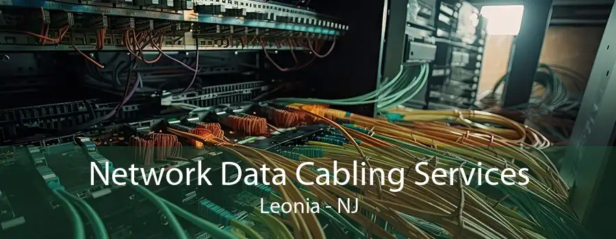 Network Data Cabling Services Leonia - NJ