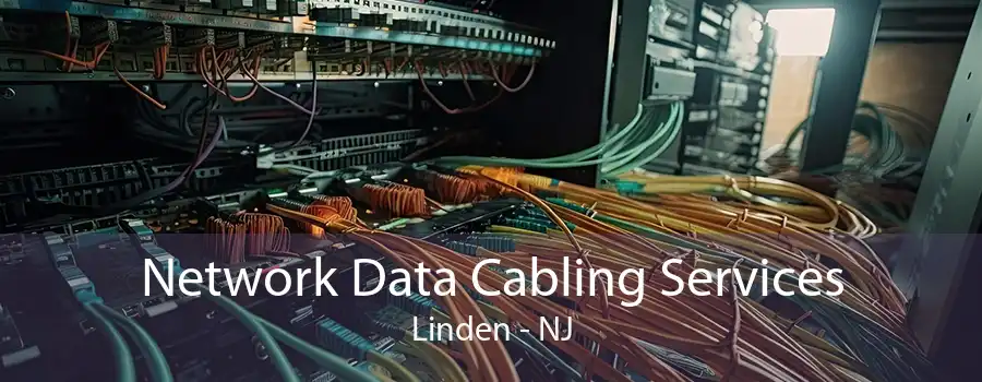 Network Data Cabling Services Linden - NJ