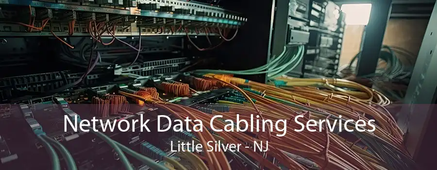 Network Data Cabling Services Little Silver - NJ