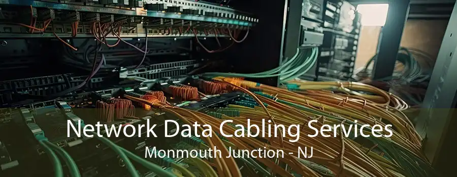 Network Data Cabling Services Monmouth Junction - NJ