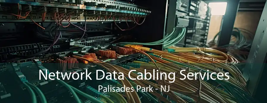 Network Data Cabling Services Palisades Park - NJ