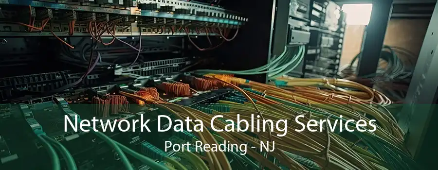 Network Data Cabling Services Port Reading - NJ