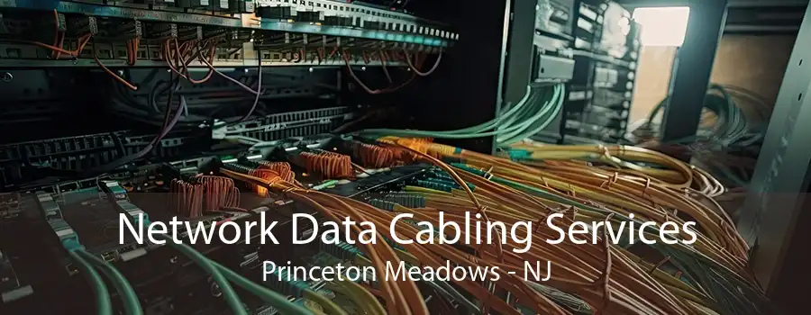 Network Data Cabling Services Princeton Meadows - NJ