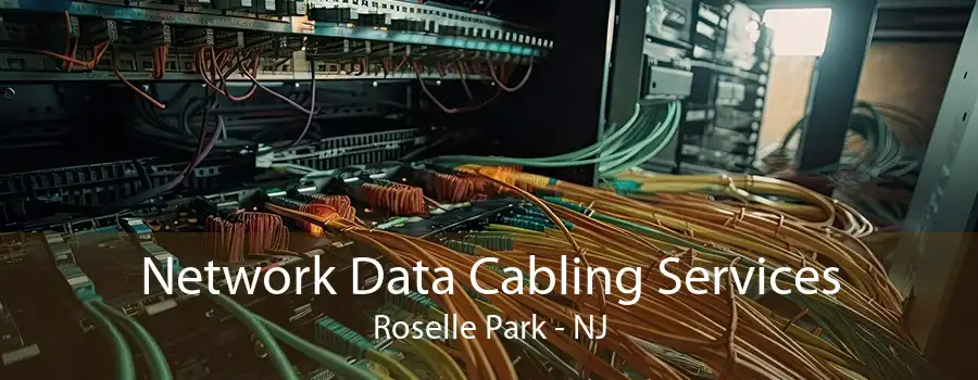 Network Data Cabling Services Roselle Park - NJ