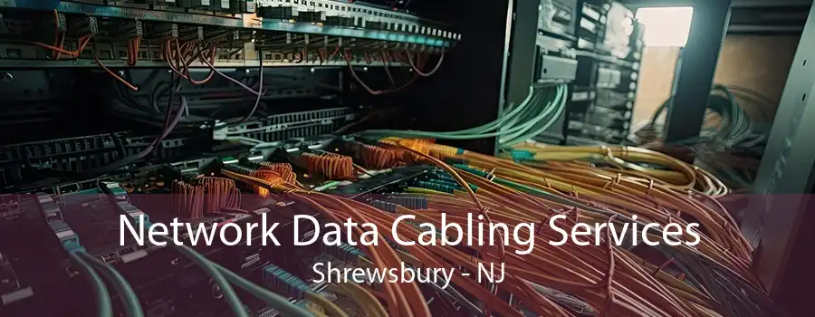 Network Data Cabling Services Shrewsbury - NJ