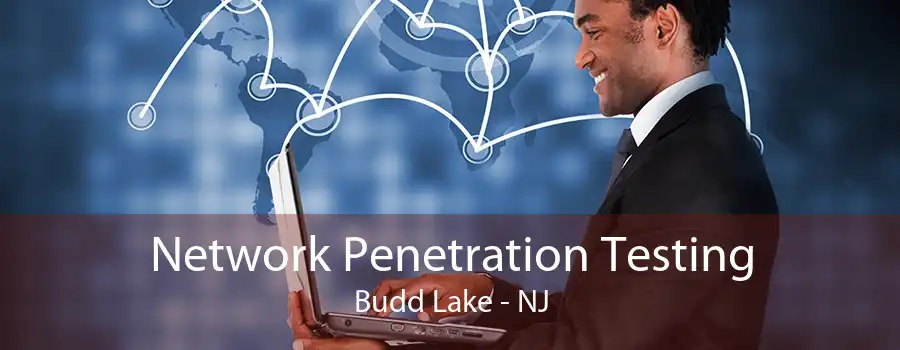 Network Penetration Testing Budd Lake - NJ