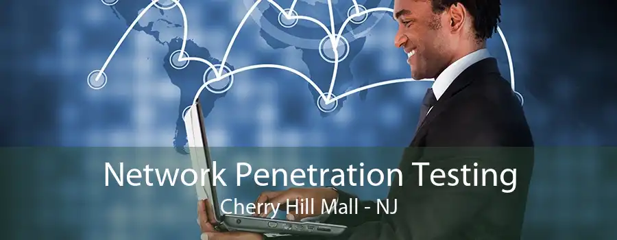 Network Penetration Testing Cherry Hill Mall - NJ