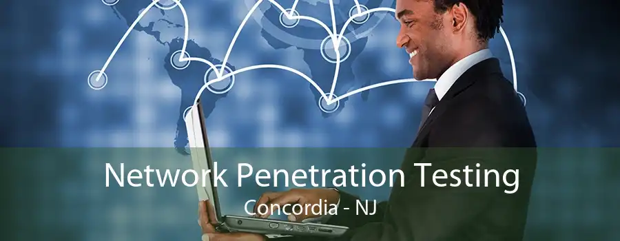 Network Penetration Testing Concordia - NJ